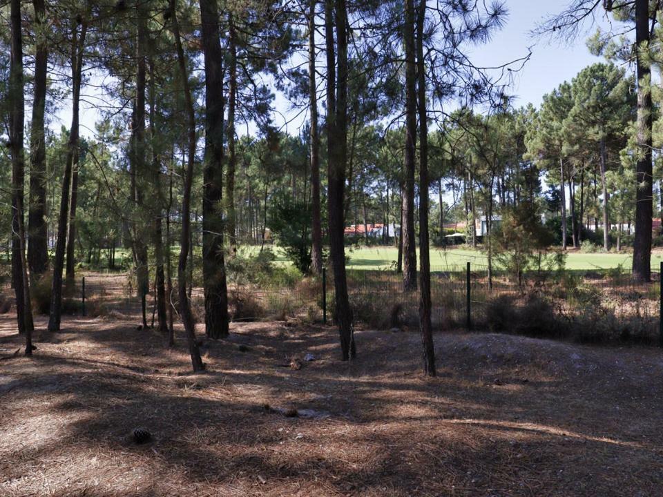 Aroeira Golf - Beach House Carcereiro Buitenkant foto
